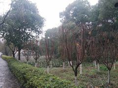 -石燕湖生态旅游景区
