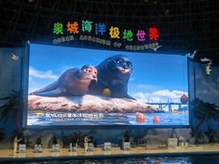 -泉城欧乐堡海洋极地世界