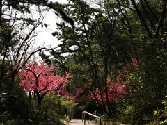-长岛南北长山旅游景区