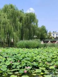 -宝馨月月子中心(友谊医院店)