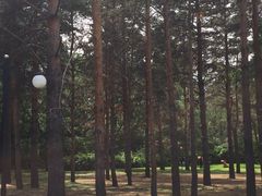 -黑龙江省森林植物园