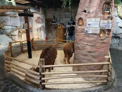 -Zoolung Zoolung动物主题公园(海信广场店)