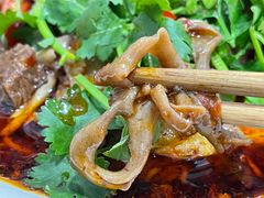 -智强牛肉面