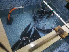 -宁记柴火灶台鱼·全鱼宴(龙源小区店)
