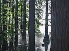 -东湖落雁景区
