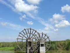 -宁波杭州湾国家湿地公园