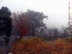 -祁门牯牛降观音堂风景区