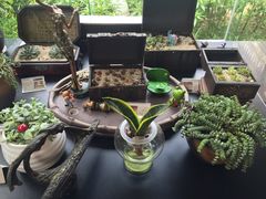 -漫渡庄绿岛花园•隐世庭园菜(滨湖店)