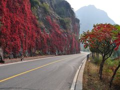 DSC_0117-百里山水画廊乌龙峡谷