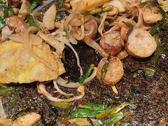 -양평식당·杨平食堂(华贸店)