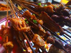 -晓靖轩烧烤(沙河风情店)