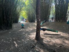 -宁波野生动物园