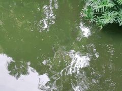 -人民公园(罗湖区)