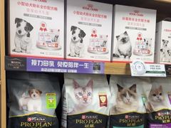-瑞派宠物医院·24h·骨外科·皮肤科·全科宠物医疗转诊中心(沈阳浑南院)