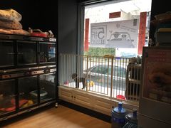 -喜狗宠物生活馆(岳州路店)