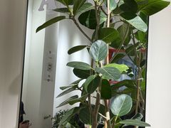 -A thing COFFEE(下梅林店)