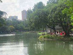 -晓港公园