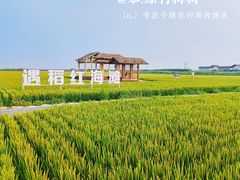 -红海滩国家风景廊道