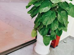 -张钰强中医正骨推拿连锁(唐家人才公寓店)