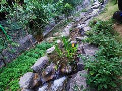 -广州神农草堂中医药博物馆