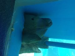 iphone_upload_pic-北戴河圣蓝海洋公园