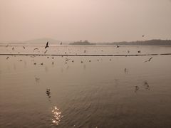 -渤公岛生态公园