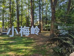 -东湖听涛景区