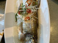 太湖大白鱼-江南原著(中联广场店)