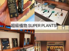 -中旅阿那亚九龙湖·公主酒店