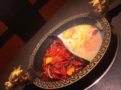 油鸳鸯锅-锅说大脸毛肚重庆老火锅(佐阾店)