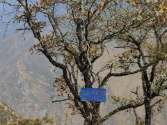 -丽江虎跳峡景区-售票处