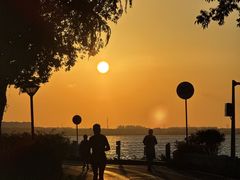 -贡湖湾湿地公园