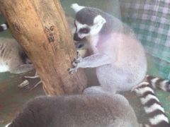 -泉州海丝野生动物世界