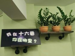 -十六番发型师事务所