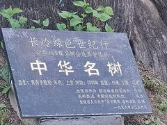 -黄帝陵