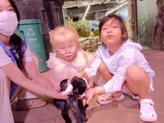 -正佳雨林生态植物园