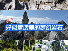 -千岛湖石林