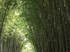 -同里国家湿地公园