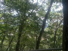 -帽儿山风景区
