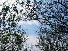 -南国桃园旅游度假区