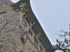 -武汉大学-樱园