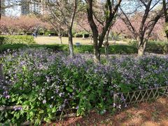 -白塘生态植物园