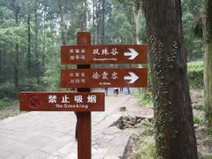 -雁荡山风景名胜区-小龙湫