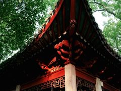 -天一阁博物院