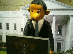 -济州岛泰迪熊博物馆