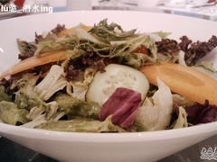蔬菜色拉-上海小南国(国会店)