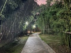 -中国浦东干部学院