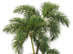 -众想海鲜·烧烤·海肠捞饭·渔家菜(孙家疃店)