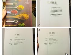 -新加坡航空公司(ION)