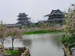 -海珠湖公园